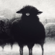 404Billy-se-sent-comme-le-mouton-noir